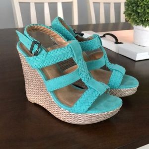 Teal wedges